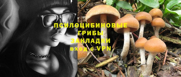 винт Абинск
