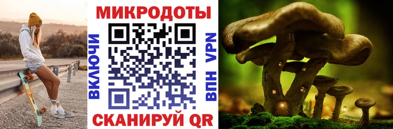 omg рабочий сайт  Грязи  Галлюциногенные грибы Psilocybe  дарнет шоп 
