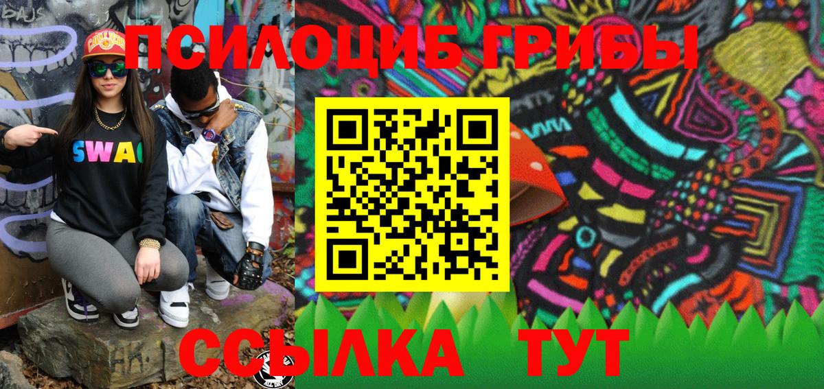 Псилоцибиновые грибы мицелий  Грязи 